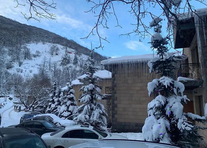 Tsaghkadzor Family Villa